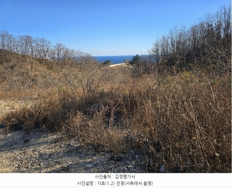 2024타경1291 경상북도 영덕군 영덕읍 대부리 89 농지 경매 이미지
