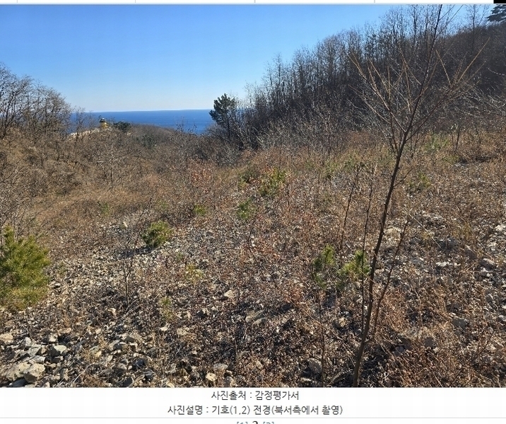 2024타경1291 경상북도 영덕군 영덕읍 대부리 89 농지 경매 이미지