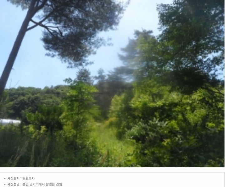 2024타경31506 강원특별자치도 평창군 봉평면 무이리 산319 임야 경매 이미지