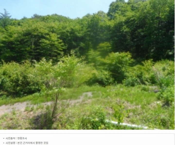 2024타경31506 강원특별자치도 평창군 봉평면 무이리 산319 임야 경매 이미지