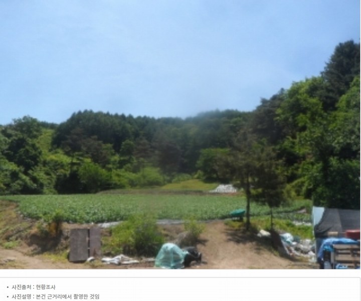 2024타경31506 강원특별자치도 평창군 봉평면 무이리 산319 임야 경매 이미지