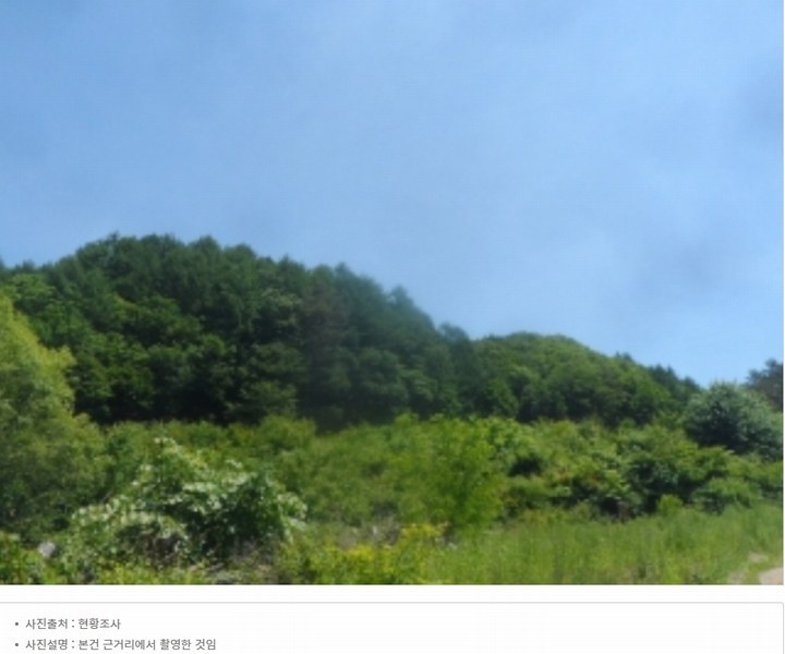 2024타경31506 강원특별자치도 평창군 봉평면 무이리 산319 임야 경매 이미지