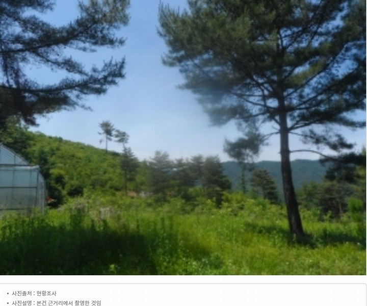 2024타경31506 강원특별자치도 평창군 봉평면 무이리 산319 임야 경매 이미지