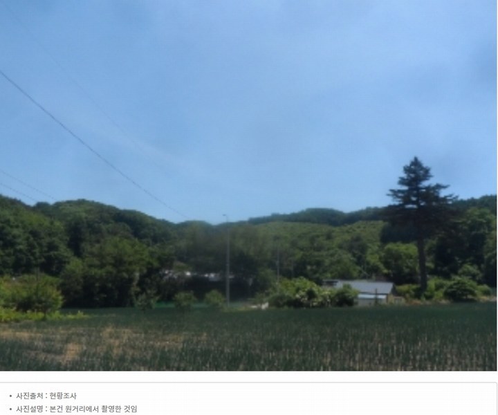2024타경31506 강원특별자치도 평창군 봉평면 무이리 산319 임야 경매 이미지