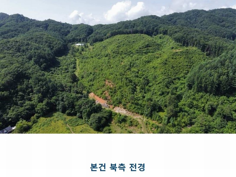 2024타경31506 강원특별자치도 평창군 봉평면 무이리 산319 임야 경매 이미지