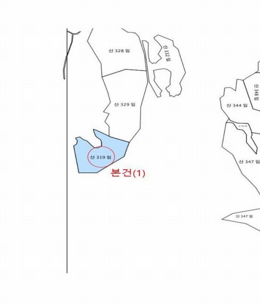 2024타경31506 강원특별자치도 평창군 봉평면 무이리 산319 임야 경매 이미지