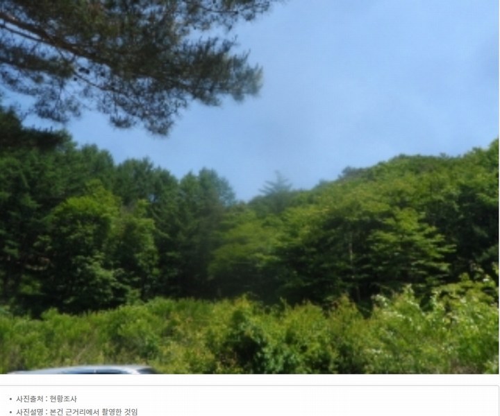 2024타경31506 강원특별자치도 평창군 봉평면 무이리 산319 임야 경매 이미지