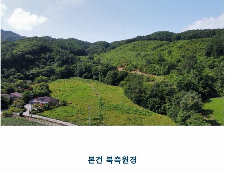 2024타경31506 강원특별자치도 평창군 봉평면 무이리 산319 임야 경매 이미지