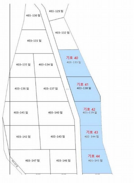 2024타경31506 강원특별자치도 평창군 봉평면 무이리 산319 임야 경매 이미지