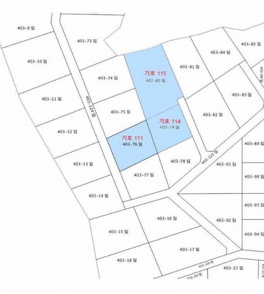 2024타경31506 강원특별자치도 평창군 봉평면 무이리 산319 임야 경매 이미지