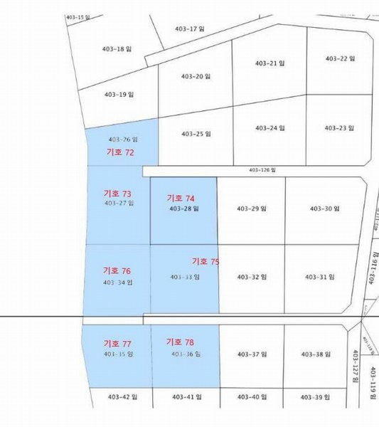 2024타경31506 강원특별자치도 평창군 봉평면 무이리 산319 임야 경매 이미지
