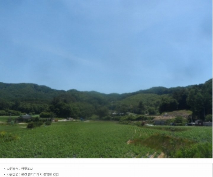 2024타경31506 강원특별자치도 평창군 봉평면 무이리 산319 임야 경매 이미지