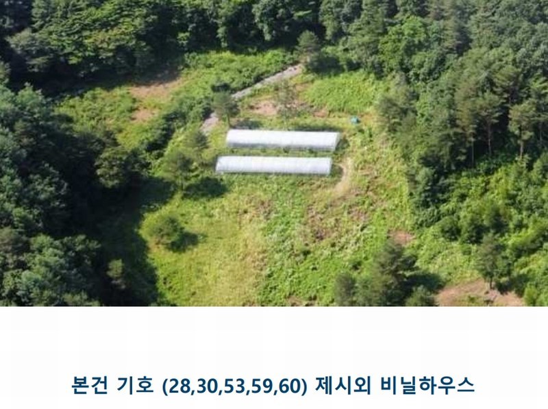 2024타경31506 강원특별자치도 평창군 봉평면 무이리 산319 임야 경매 이미지
