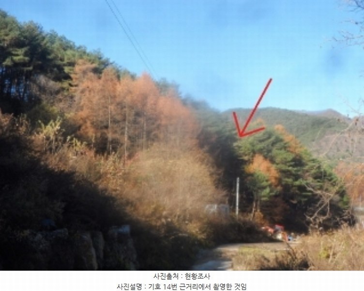 2024타경33052 강원특별자치도 평창군 미탄면 율치리 135 임야 경매 이미지