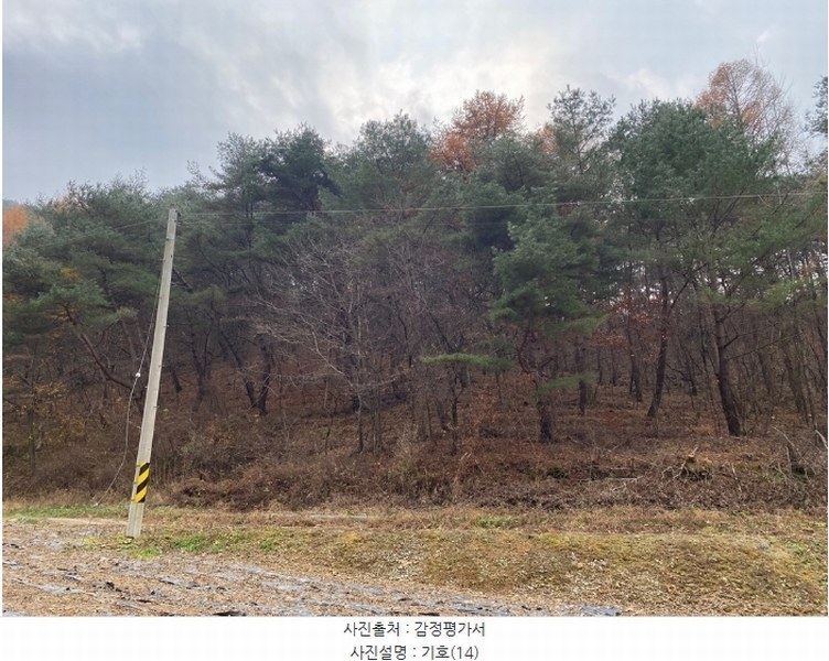2024타경33052 강원특별자치도 평창군 미탄면 율치리 135 임야 경매 이미지