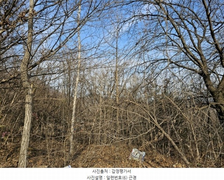 2024타경33427 강원특별자치도 영월군 남면 토교리 914 농지 경매 이미지
