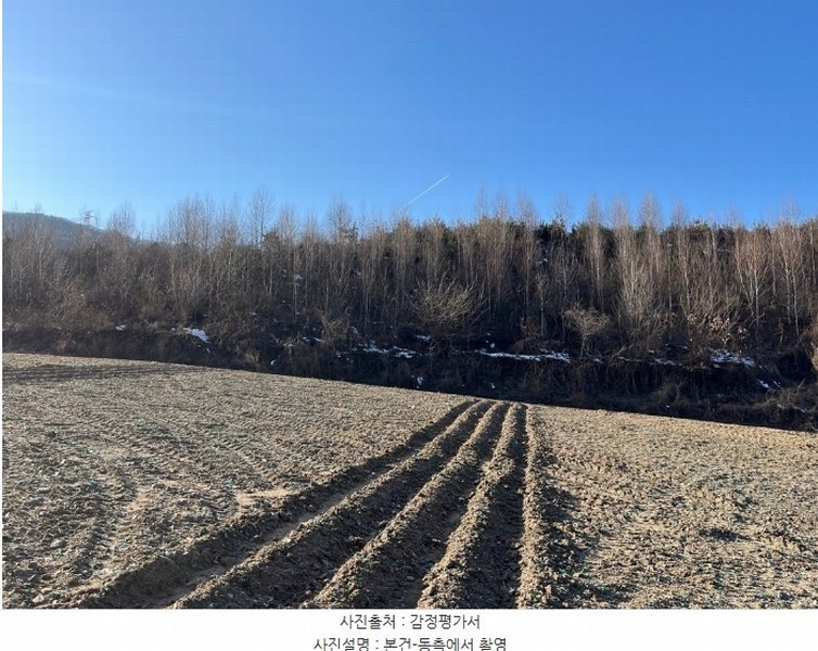 2024타경33502 강원특별자치도 평창군 용평면 재산리 1447-10 임야 경매 이미지