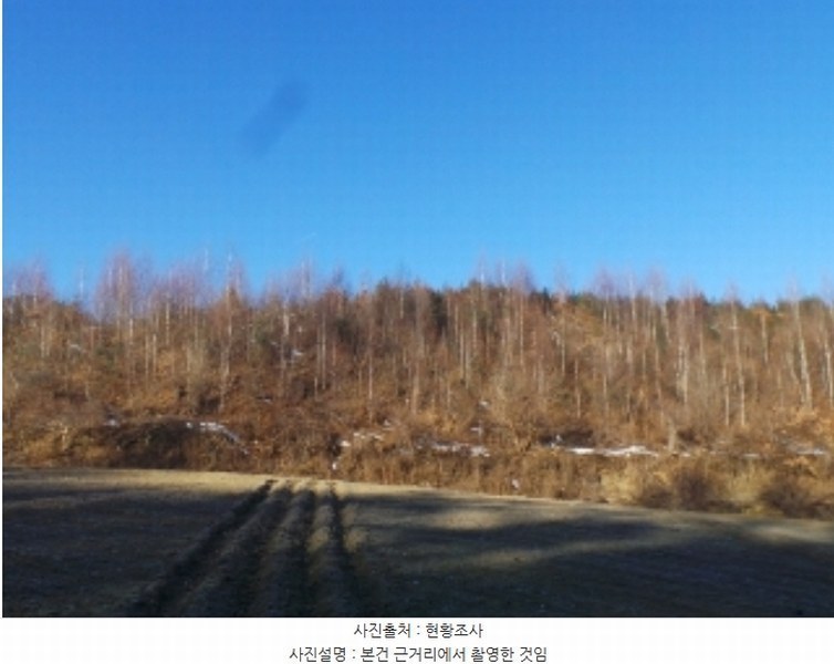 2024타경33502 강원특별자치도 평창군 용평면 재산리 1447-10 임야 경매 이미지