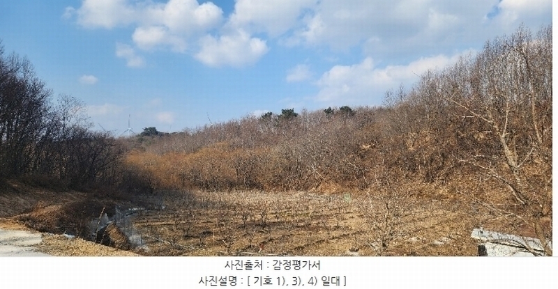 2025타경11 경상북도 영덕군 영덕읍 대부리 산52-3 임야 경매 이미지