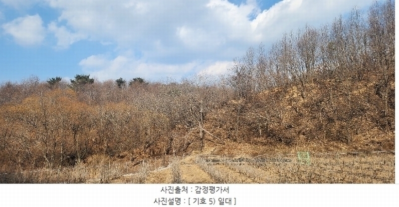 2025타경11 경상북도 영덕군 영덕읍 대부리 산52-3 임야 경매 이미지