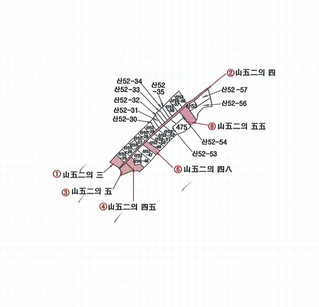 2025타경11 경상북도 영덕군 영덕읍 대부리 산52-3 임야 경매 이미지