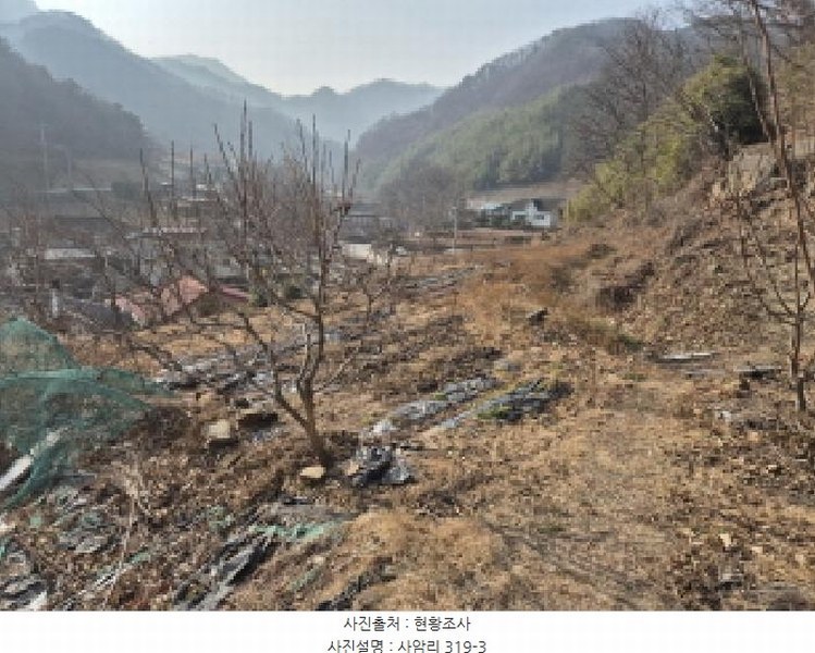 2025타경42 경상북도 영덕군 남정면 사암리 319-3 대지 경매 이미지