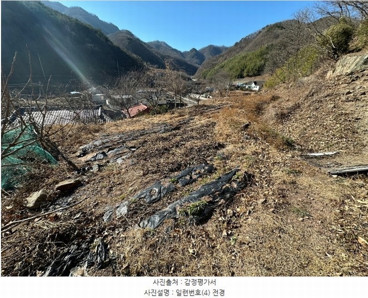 2025타경42 경상북도 영덕군 남정면 사암리 319-3 대지 경매 이미지