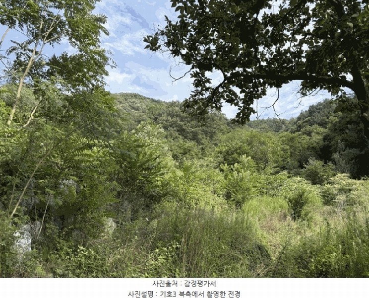 2025타경97 충청북도 영동군 양산면 원당리 165 과수원 경매 이미지