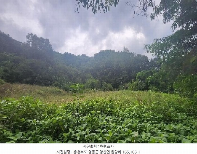 2025타경97 충청북도 영동군 양산면 원당리 165 과수원 경매 이미지
