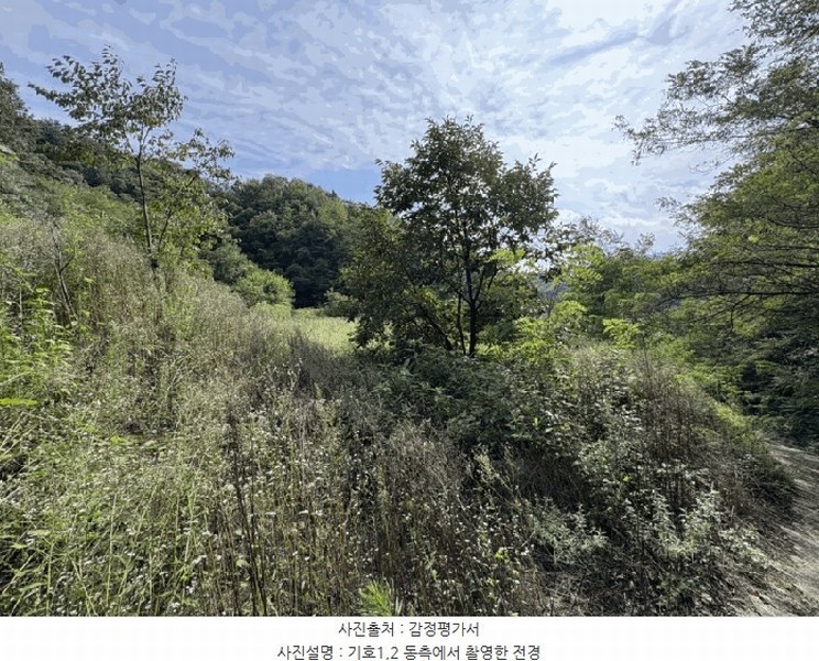 2025타경97 충청북도 영동군 양산면 원당리 165 과수원 경매 이미지