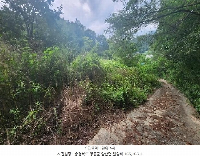 2025타경97 충청북도 영동군 양산면 원당리 165 과수원 경매 이미지