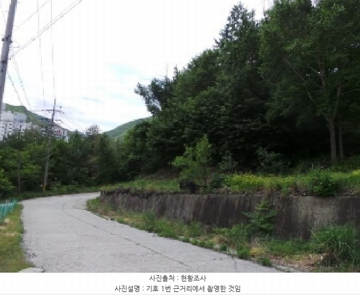 2025타경844 강원특별자치도 정선군 사북읍 사북리 산153-34 임야 경매 이미지