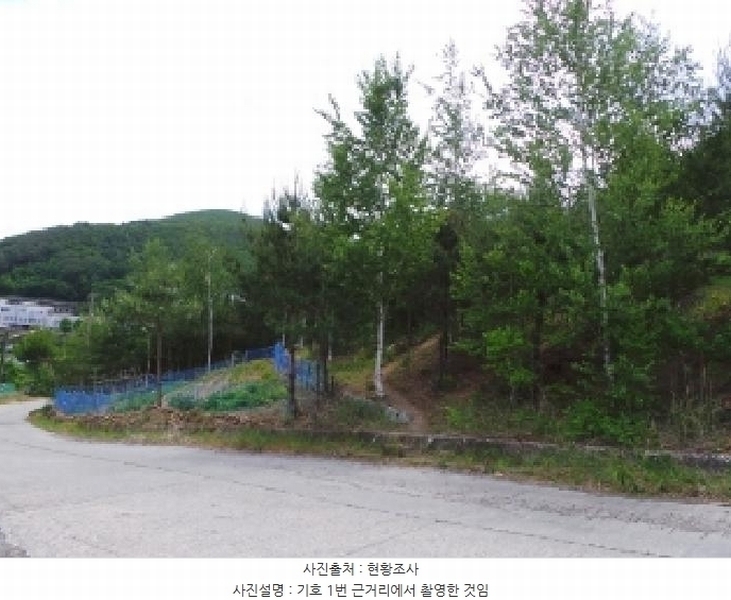 2025타경844 강원특별자치도 정선군 사북읍 사북리 산153-34 임야 경매 이미지