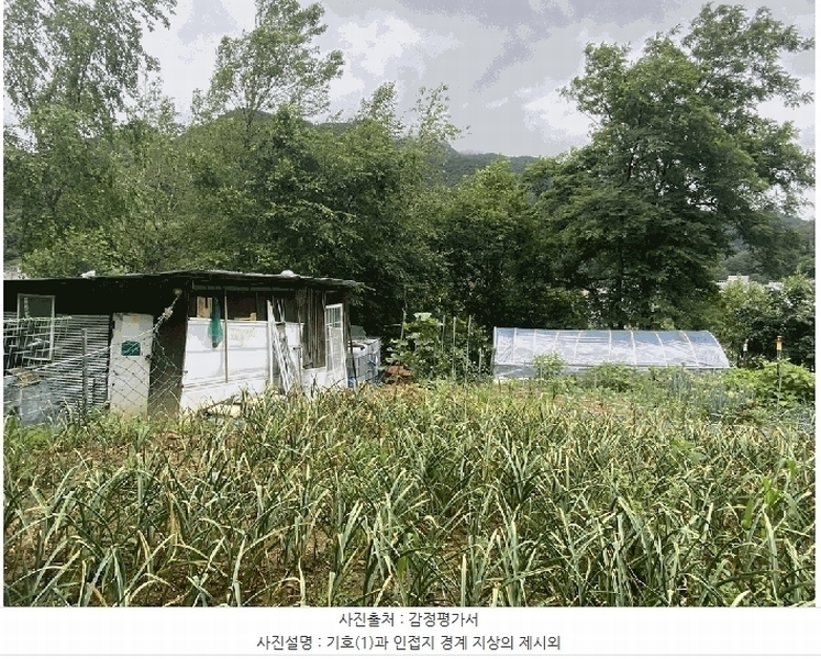 2025타경844 강원특별자치도 정선군 사북읍 사북리 산153-34 임야 경매 이미지