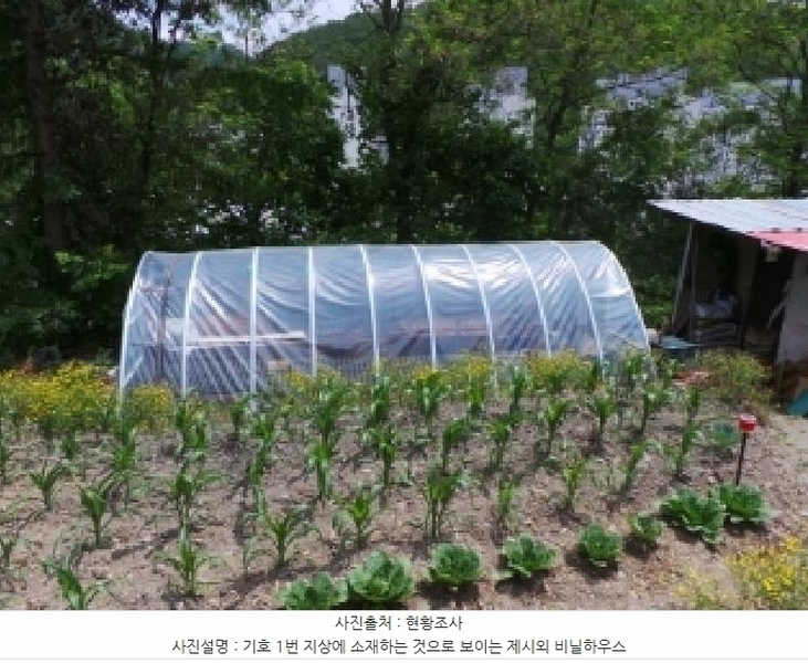2025타경844 강원특별자치도 정선군 사북읍 사북리 산153-34 임야 경매 이미지