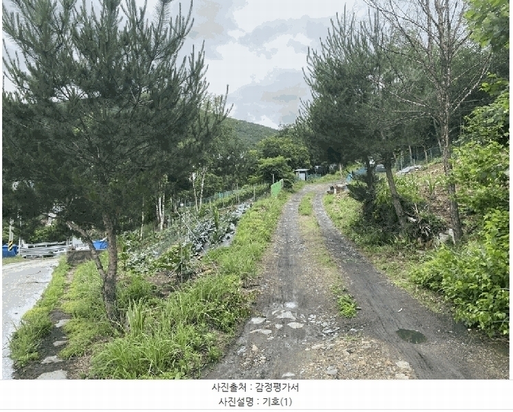 2025타경844 강원특별자치도 정선군 사북읍 사북리 산153-34 임야 경매 이미지
