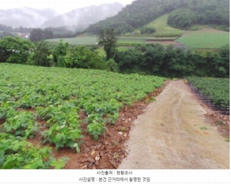 2025타경974 강원특별자치도 정선군 화암면 호촌리 142-3 농지 경매 이미지