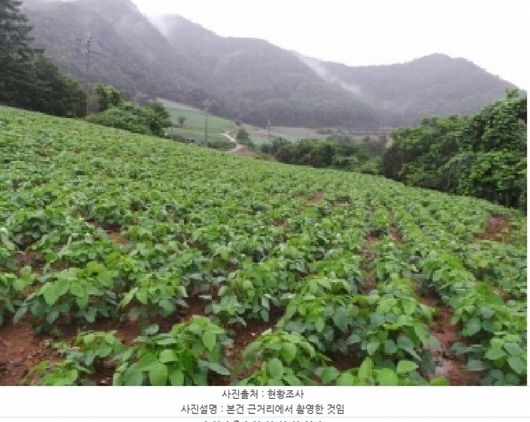 2025타경974 강원특별자치도 정선군 화암면 호촌리 142-3 농지 경매 이미지