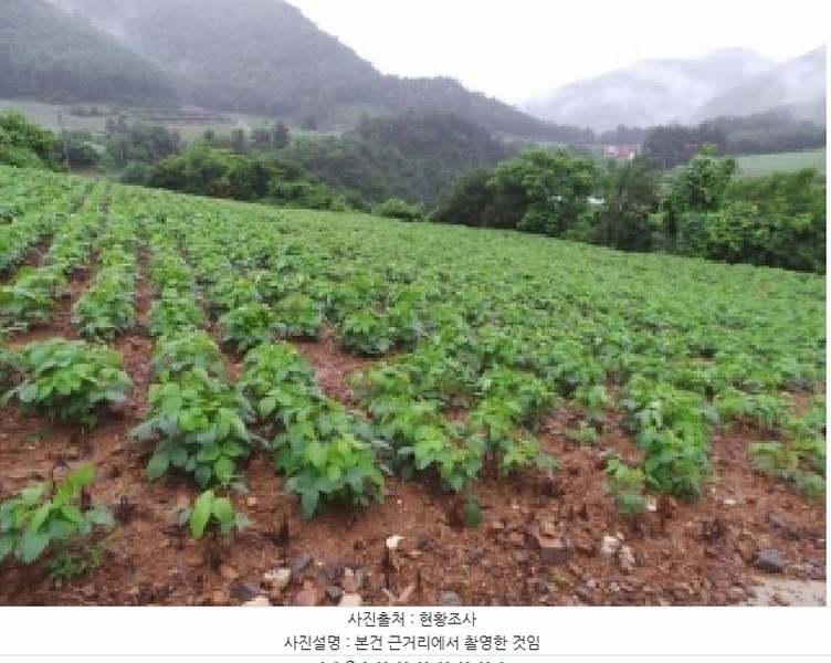 2025타경974 강원특별자치도 정선군 화암면 호촌리 142-3 농지 경매 이미지