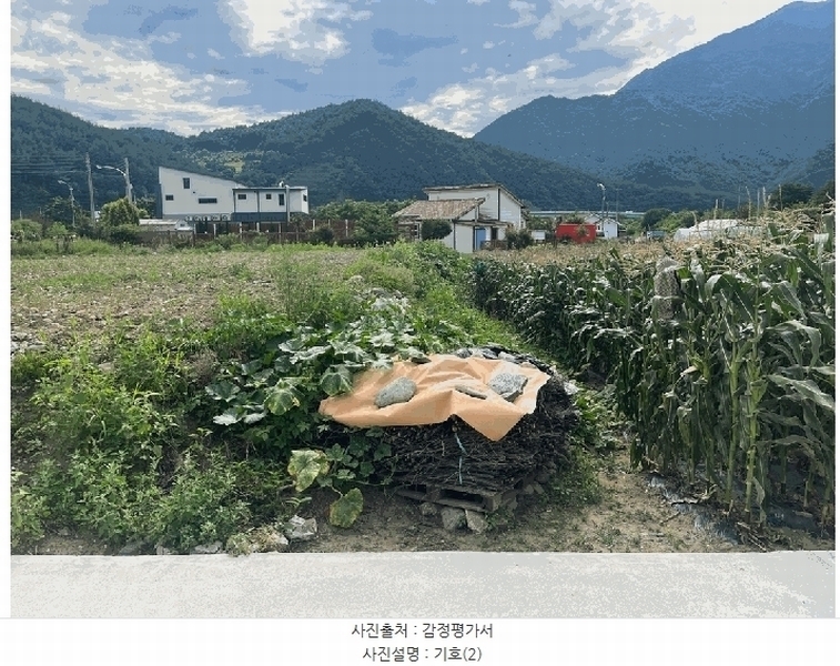 2025타경1007 강원특별자치도 정선군 여량면 여량리 298-4 대지 경매 이미지