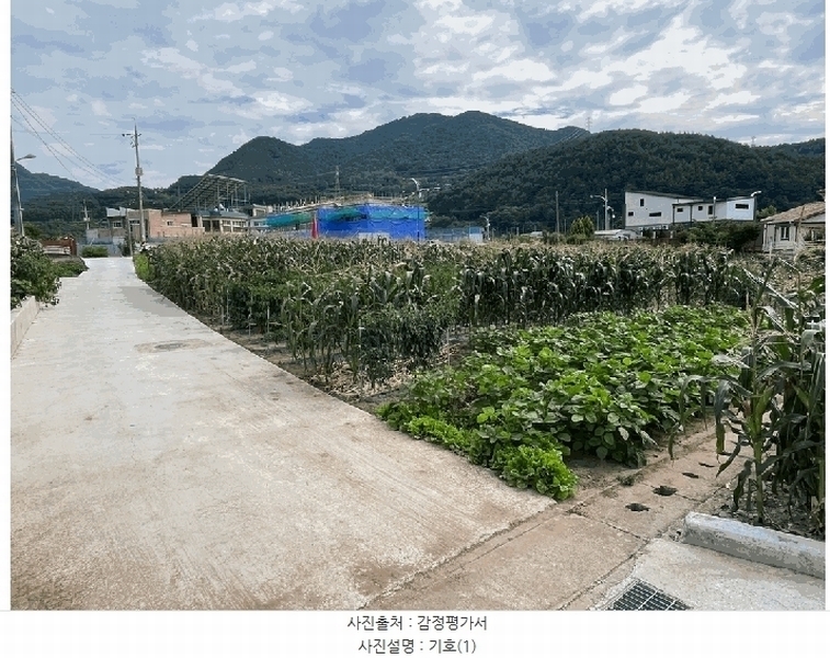 2025타경1007 강원특별자치도 정선군 여량면 여량리 298-4 대지 경매 이미지