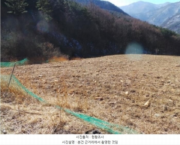 2025타경30098 강원특별자치도 정선군 남면 무릉리 515-1 농지 경매 이미지