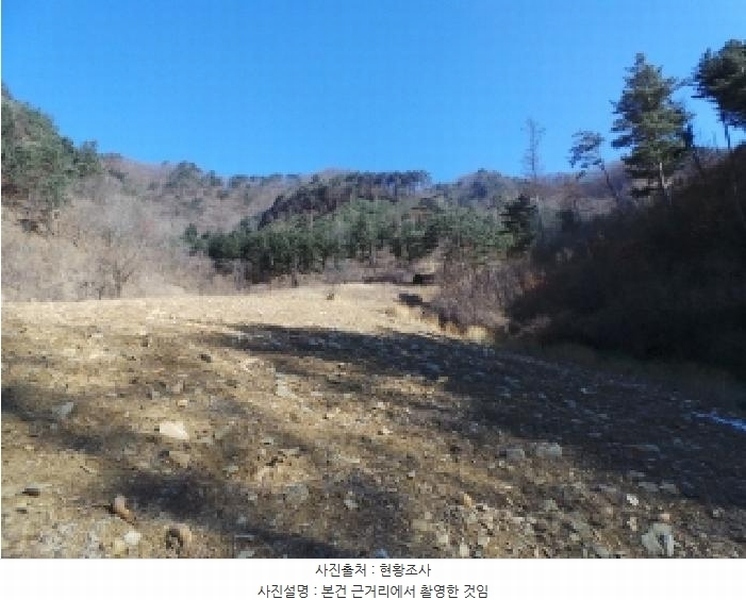 2025타경30098 강원특별자치도 정선군 남면 무릉리 515-1 농지 경매 이미지