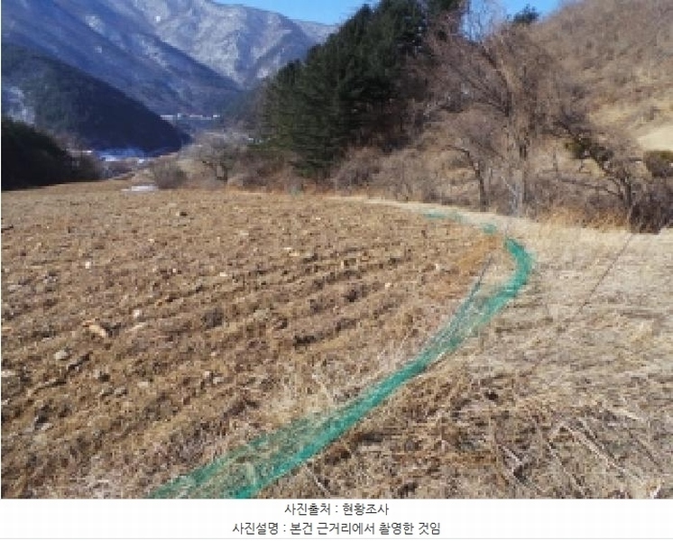 2025타경30098 강원특별자치도 정선군 남면 무릉리 515-1 농지 경매 이미지