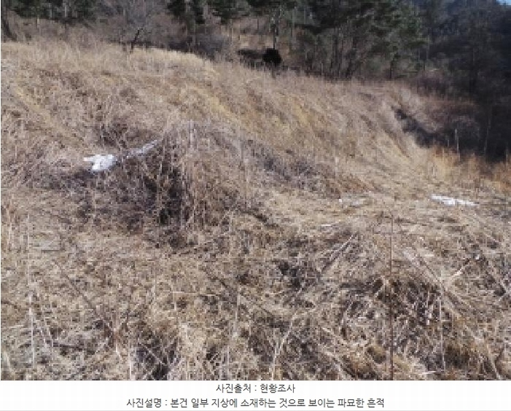 2025타경30098 강원특별자치도 정선군 남면 무릉리 515-1 농지 경매 이미지