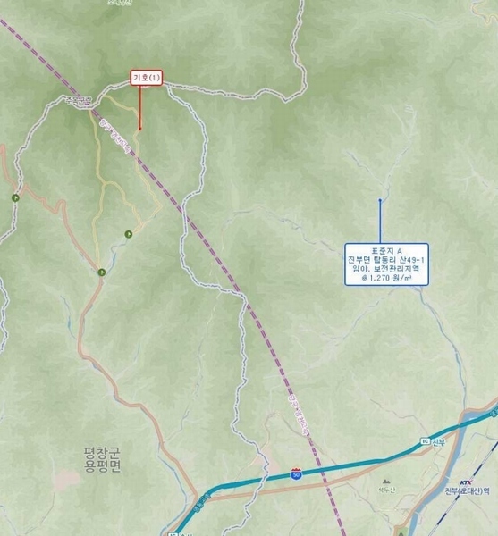 2025타경30203 강원특별자치도 평창군 용평면 노동리 산6 임야 경매 이미지