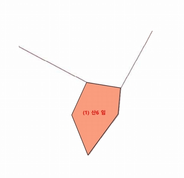 2025타경30203 강원특별자치도 평창군 용평면 노동리 산6 임야 경매 이미지