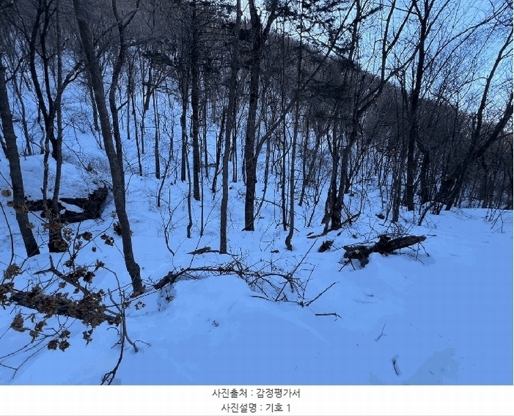 2025타경30203 강원특별자치도 평창군 용평면 노동리 산6 임야 경매 이미지