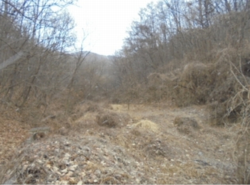 2024타경64969 충청북도 괴산군 감물면 구월리 59 농지 경매 이미지