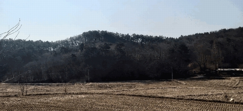 2025타경1613 충청북도 진천군 광혜원면 실원리 409-2 임야 경매 이미지